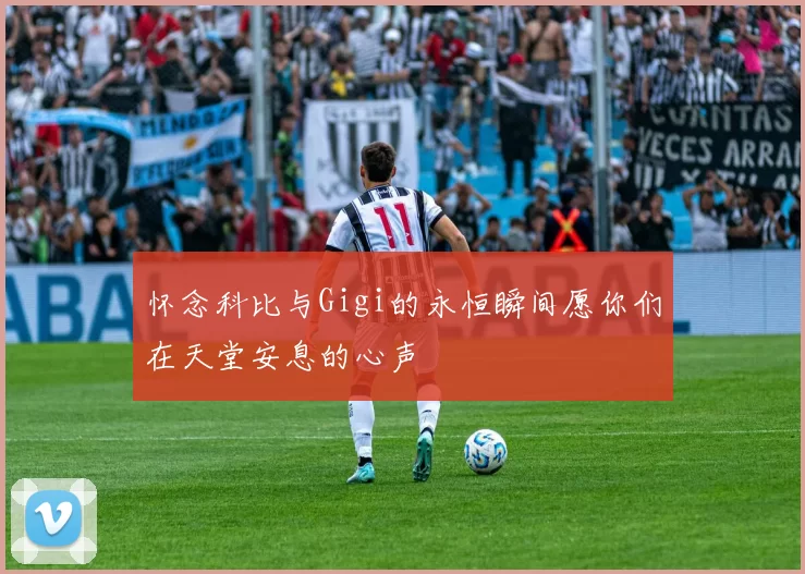 怀念科比与Gigi的永恒瞬间愿你们在天堂安息的心声